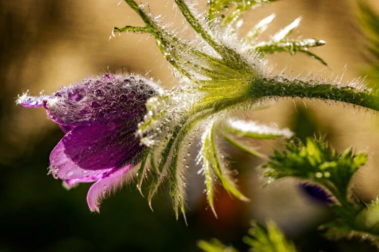 Frühling jenseits der Klassiker