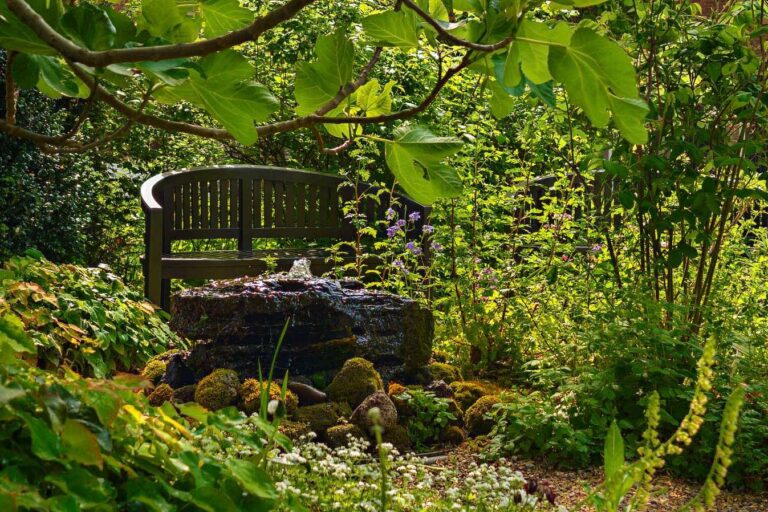 Das Gartenjahr im Kräutergarten Kloster Kamp | Frühling